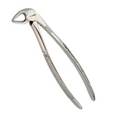 Extraction Forceps 